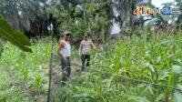 IMG-20250118-WA0019