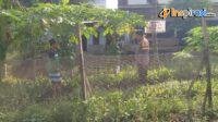 IMG-20250122-WA0004