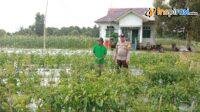 IMG-20250122-WA0016