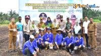 7e8a33b6ca52e0af285a72c3b6da4c48fb2cfa28de5b67f5fac43cffc8e5635a.0