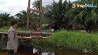 IMG-20250202-WA0006