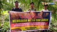 IMG-20250203-WA0007