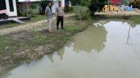 IMG-20250205-WA0018