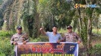 IMG-20250205-WA0019