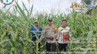 IMG-20250205-WA0020