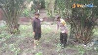 IMG-20250206-WA0005