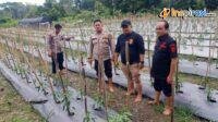IMG-20250206-WA0008
