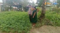IMG-20250206-WA0010
