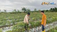 IMG-20250207-WA0021