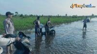 IMG-20250208-WA0009