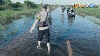 IMG-20250209-WA0002