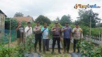 IMG-20250209-WA0010