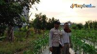 IMG-20250211-WA0007