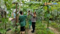 IMG-20250211-WA0014