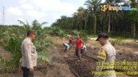 IMG-20250211-WA0017