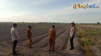 IMG-20250212-WA0011