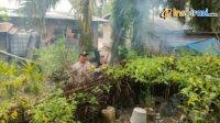 IMG-20250212-WA0015