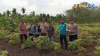 IMG-20250212-WA0025
