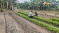 IMG-20250212-WA0030