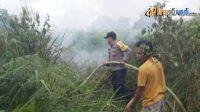 IMG-20250213-WA0012