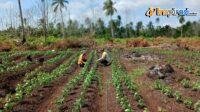 IMG-20250213-WA0021