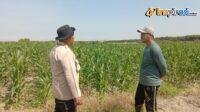 IMG-20250214-WA0018