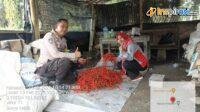 IMG-20250214-WA0023