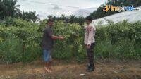 IMG-20250214-WA0027