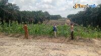 IMG-20250215-WA0008