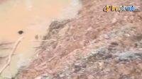 IMG-20250216-WA0002