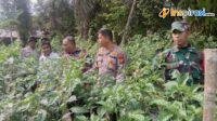 IMG-20250216-WA0013