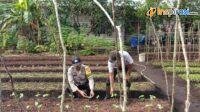 IMG-20250217-WA0034