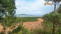 IMG-20250218-WA0003