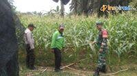 IMG-20250218-WA0010