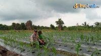 IMG-20250218-WA0019