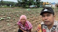 IMG-20250219-WA0005