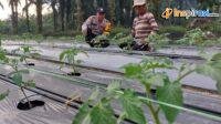 IMG-20250219-WA0009