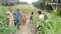 IMG-20250219-WA0013