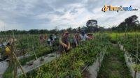 IMG-20250219-WA0016