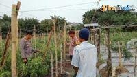 IMG-20250219-WA0024