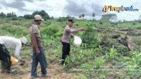 IMG-20250219-WA0028