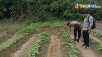 IMG-20250221-WA0011