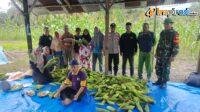 IMG-20250221-WA0017