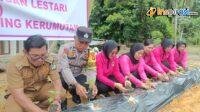 IMG-20250224-WA0029