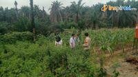 IMG-20250226-WA0020