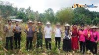 IMG-20250226-WA0028
