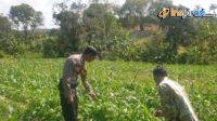 IMG-20250228-WA0028