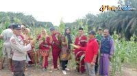 IMG-20250228-WA0036