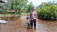 IMG-20250301-WA0011