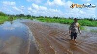 IMG-20250303-WA0025